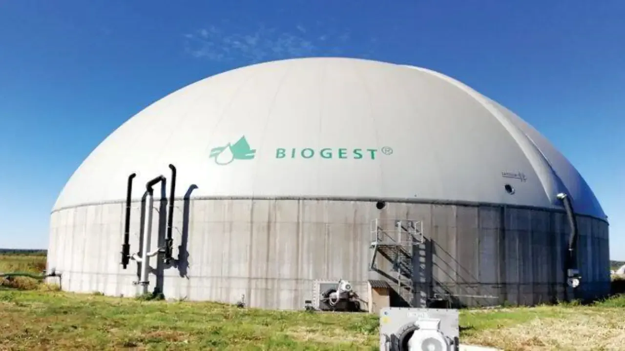 Biogest