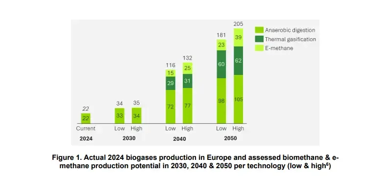 Biogases